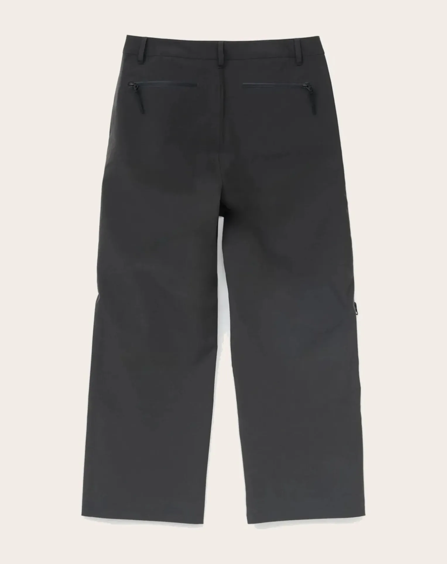 Arc 3L Pants