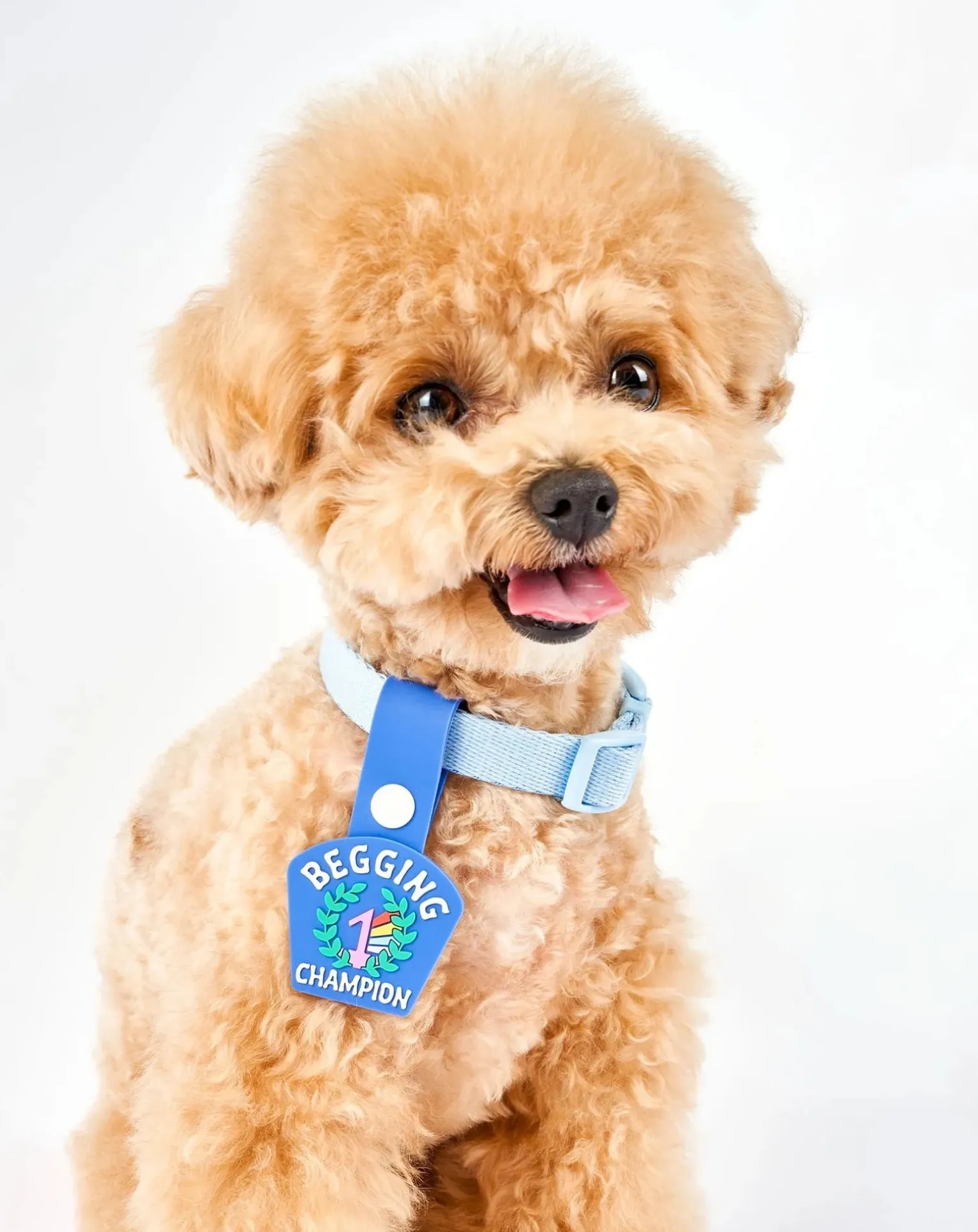 Begging Champion medal