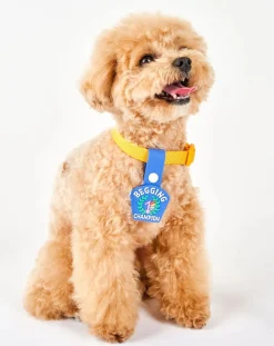 Begging Champion medal