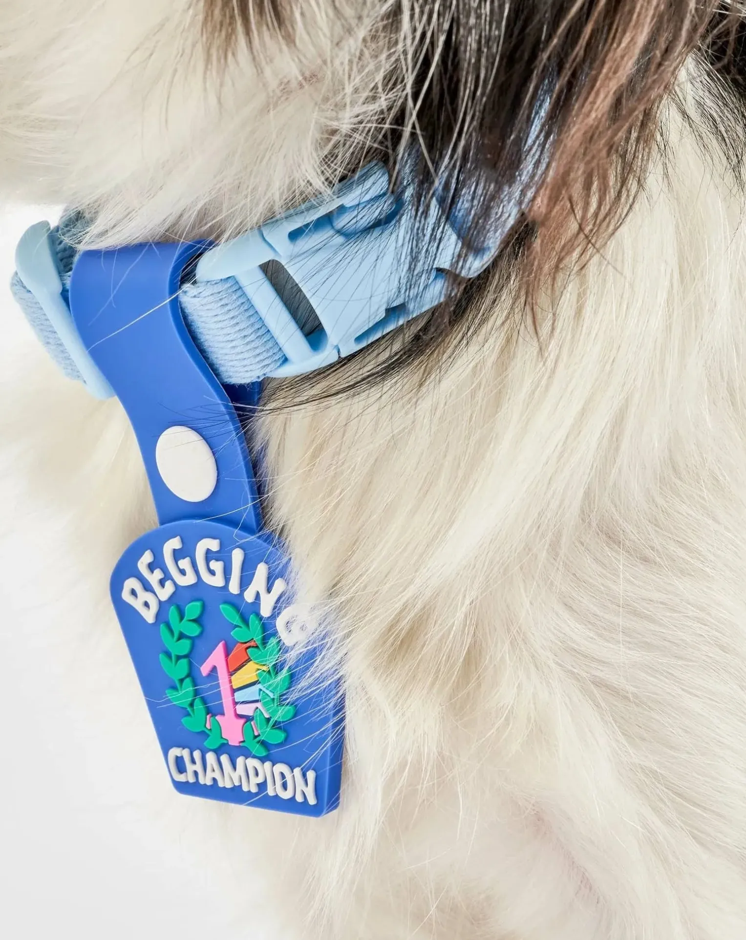 Begging Champion medal