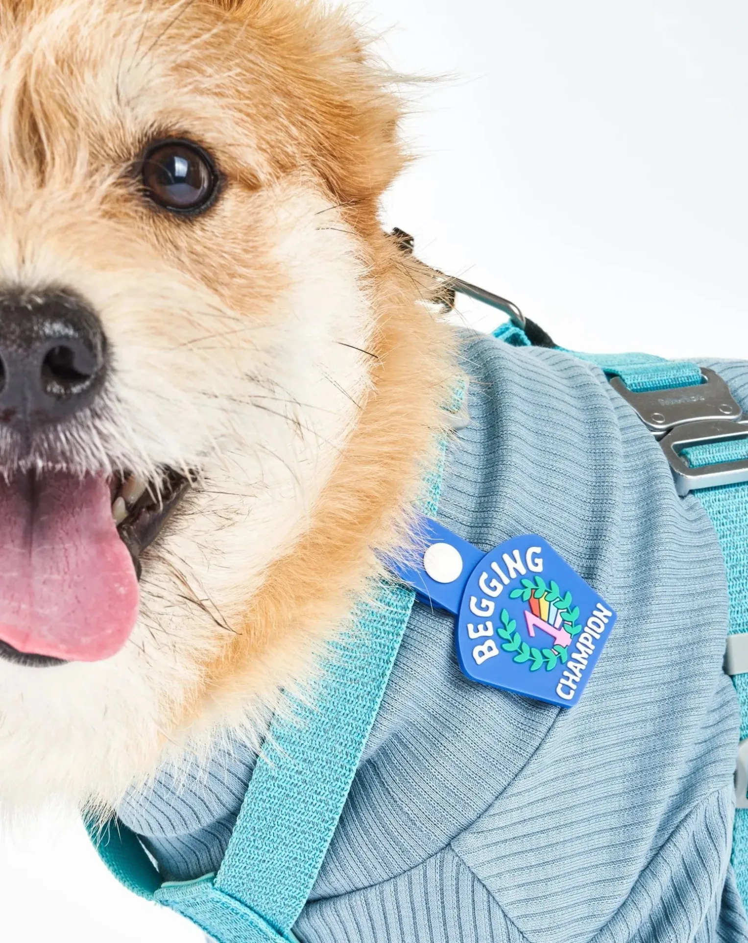 Begging Champion medal