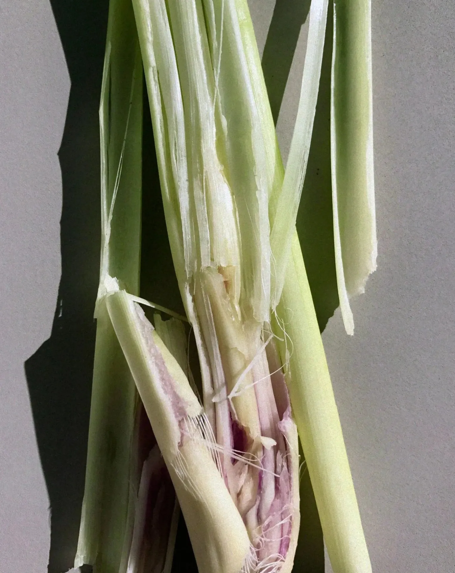 Bergamot and Patchouli Body Cream 199 - 200ml