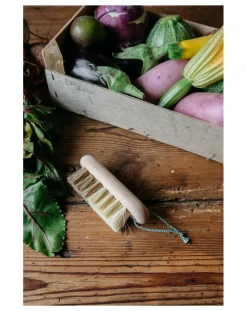Brosse à légumes en hêtre