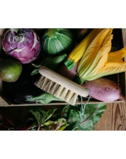 Brosse à légumes en hêtre