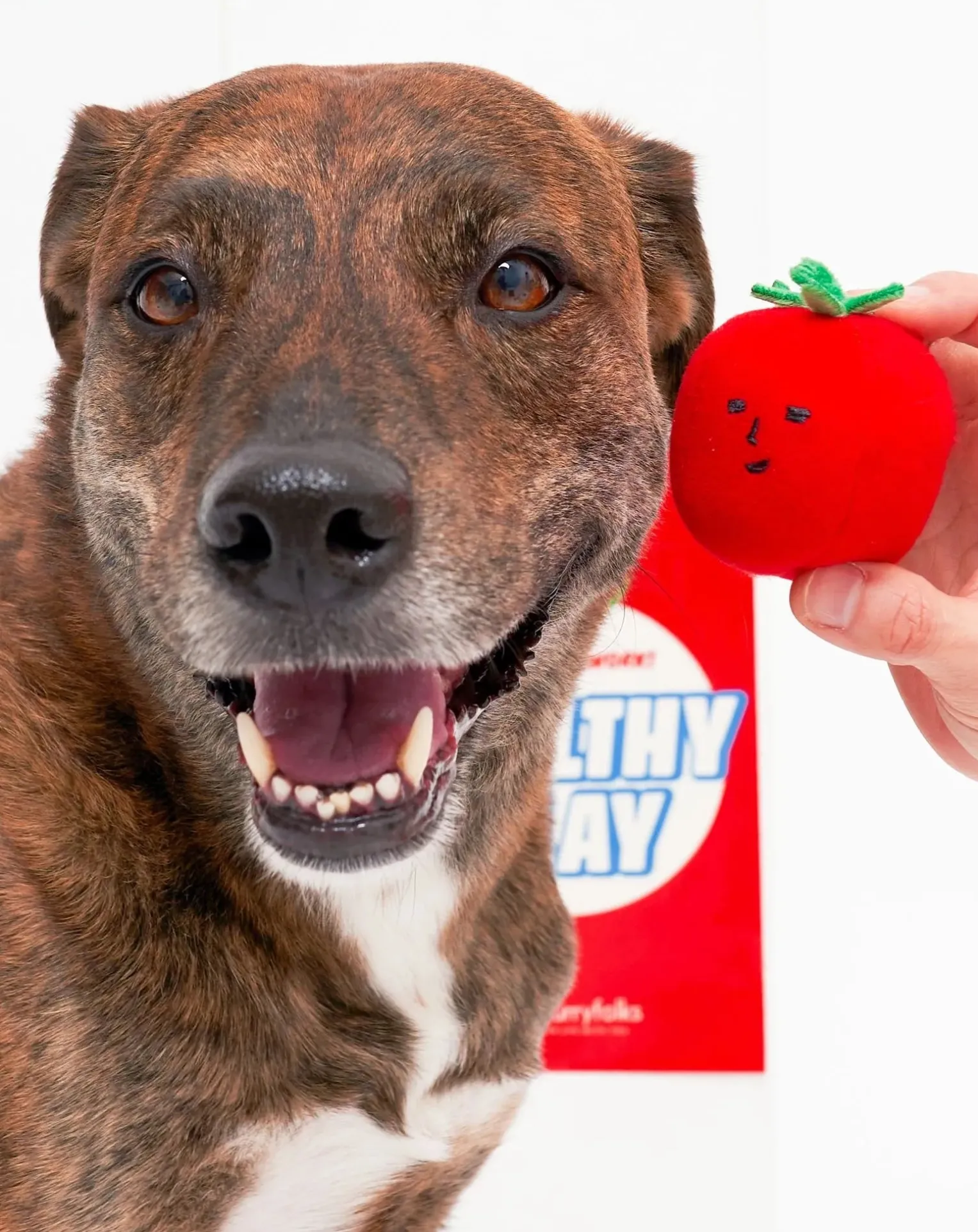 Cherry Tomato digging toy