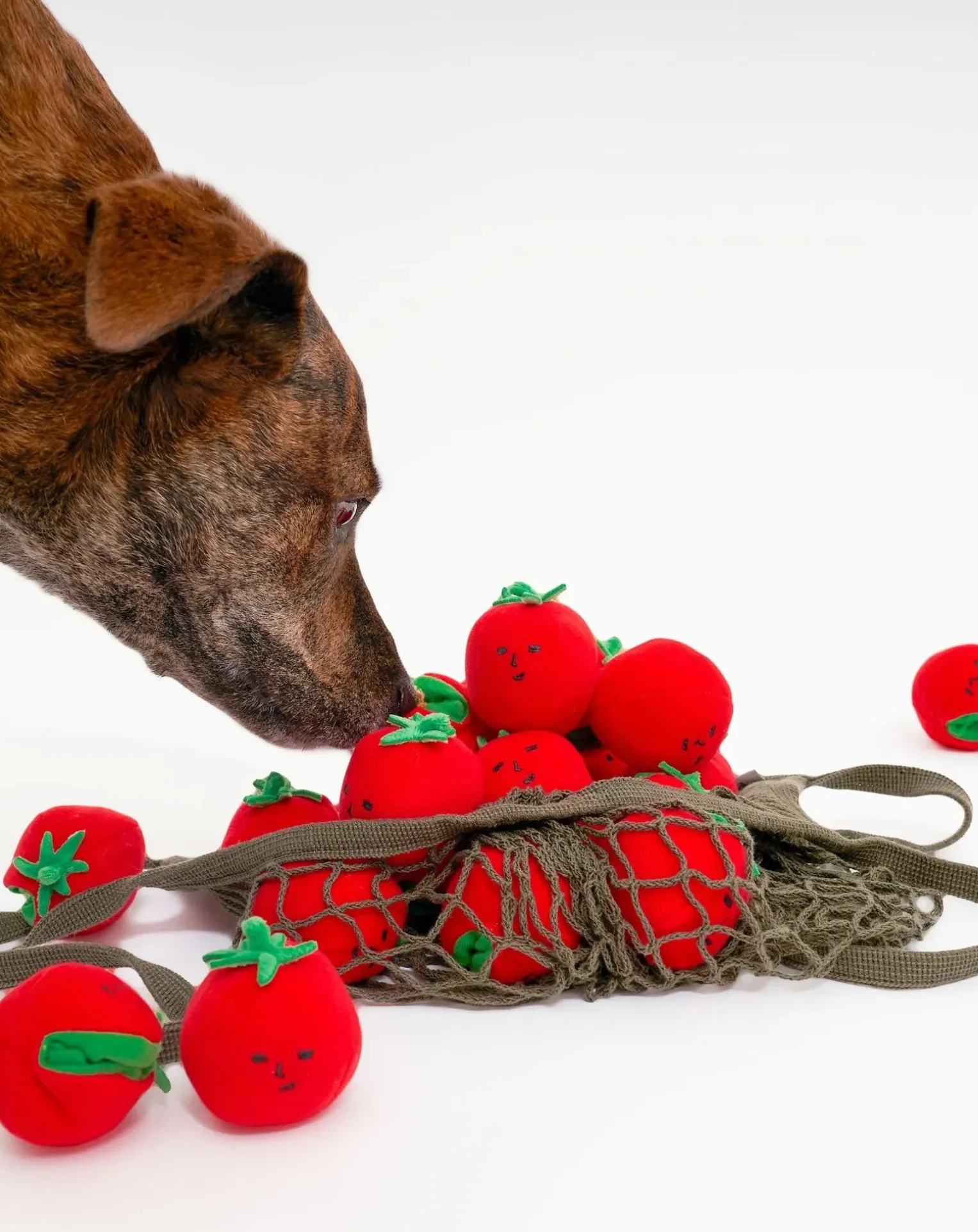 Cherry Tomato digging toy