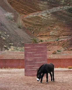 Colorado wool carpet