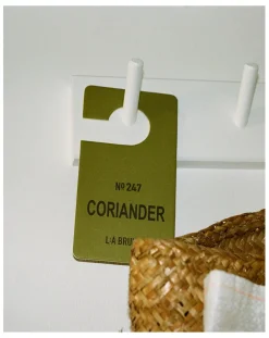 Coriander Scented Hanger 247