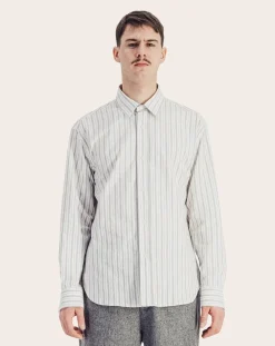 Daily Striped Cotton Poplin Shirt