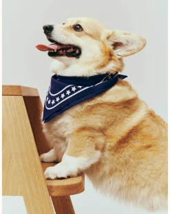 Dog bandana