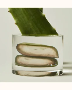 Hand Soap & Scrub - 480 ml