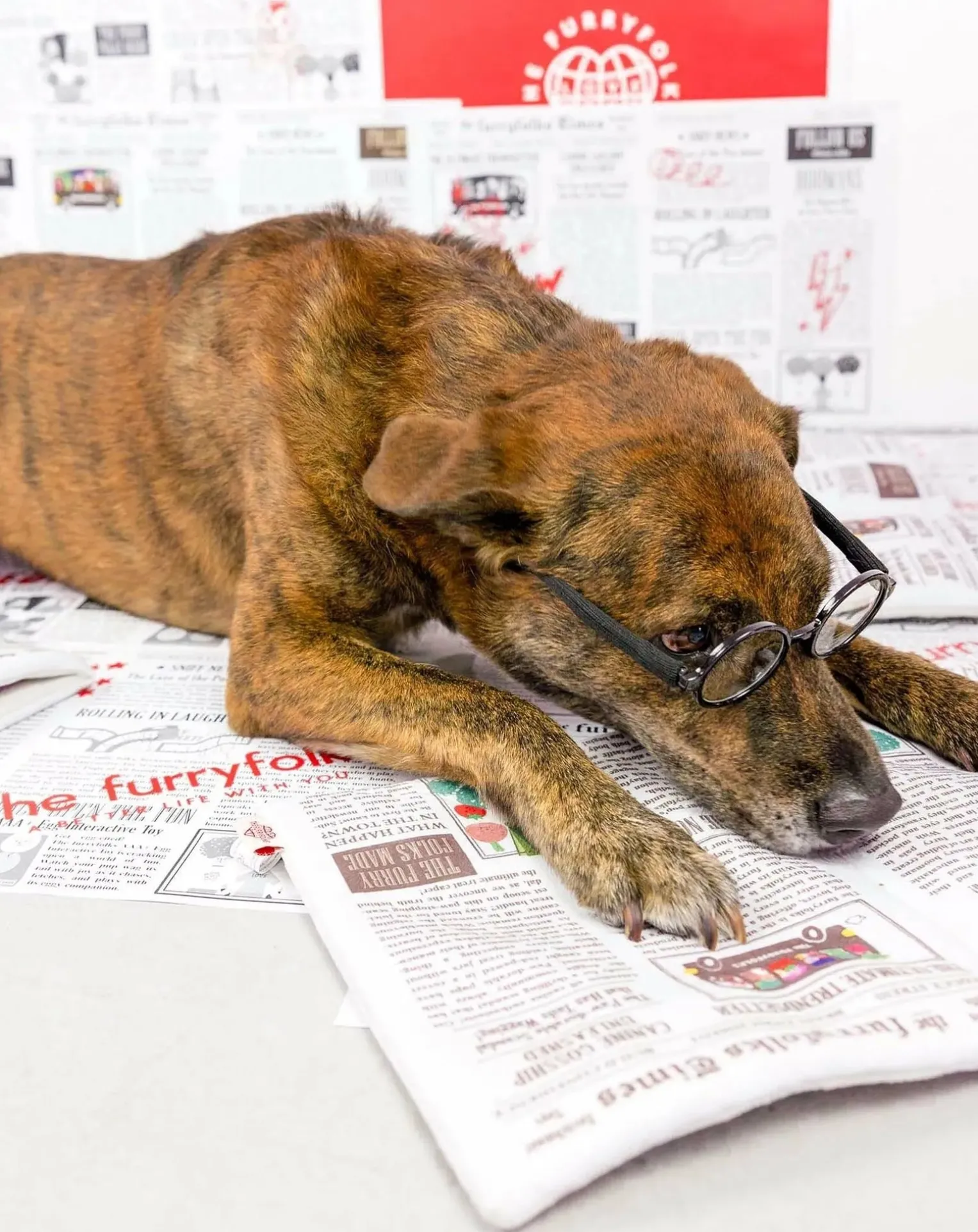 Newspapper digging toy