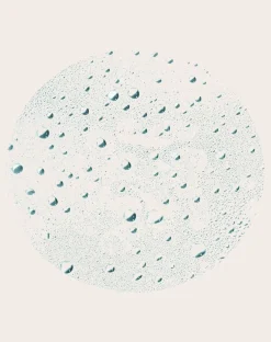 No-rinse moisturizing mist - 150ml