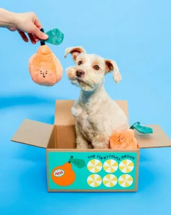 Orange digging toy