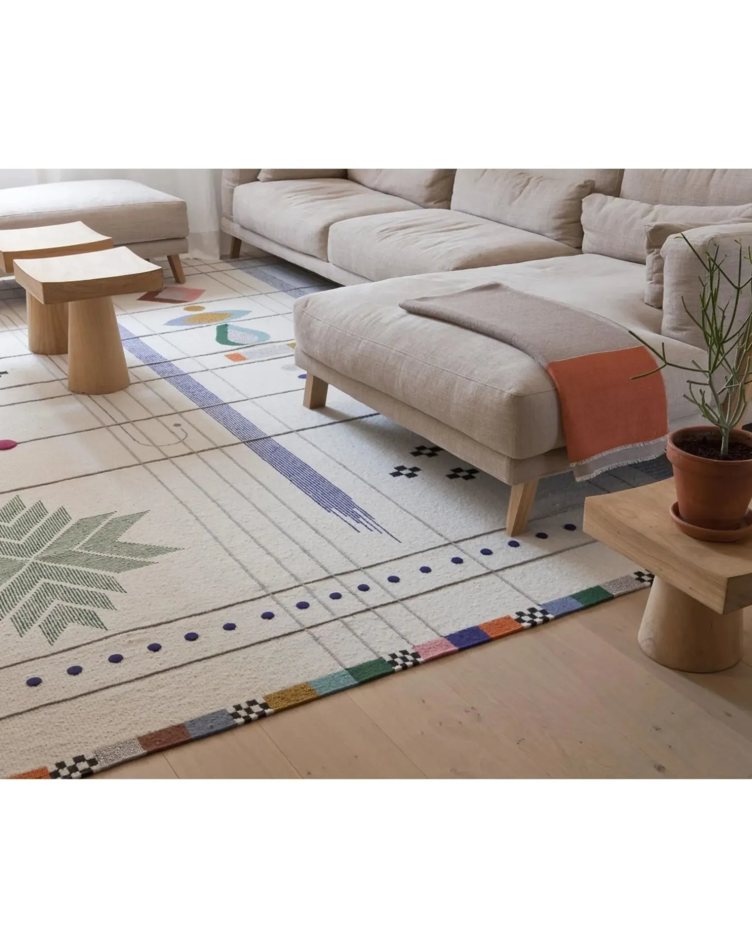 Rabari Rug, Nipa Doshi & Jonathan Levien