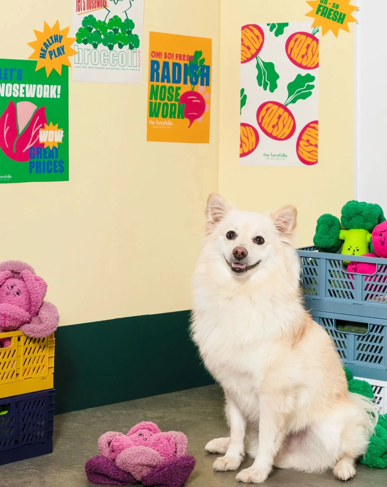 Red Cabbage digging toy