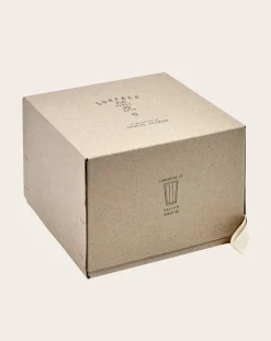 Surface Glasses - Set of 4