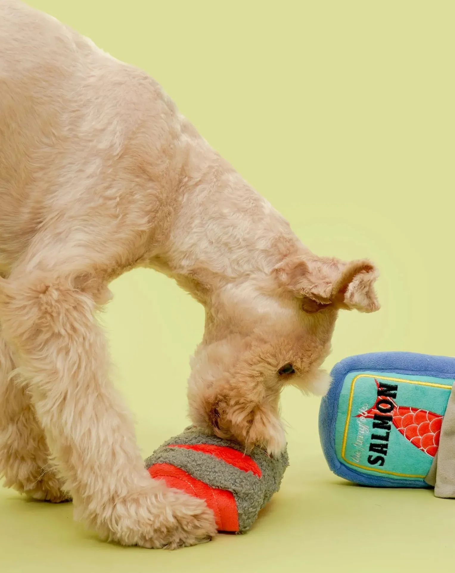 Tinned Salmon digging toy