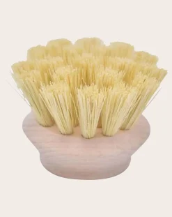 Tête brosse medium pour Manche Super vaisselle