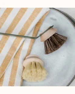 Tête brosse souple pour Manche Super vaisselle