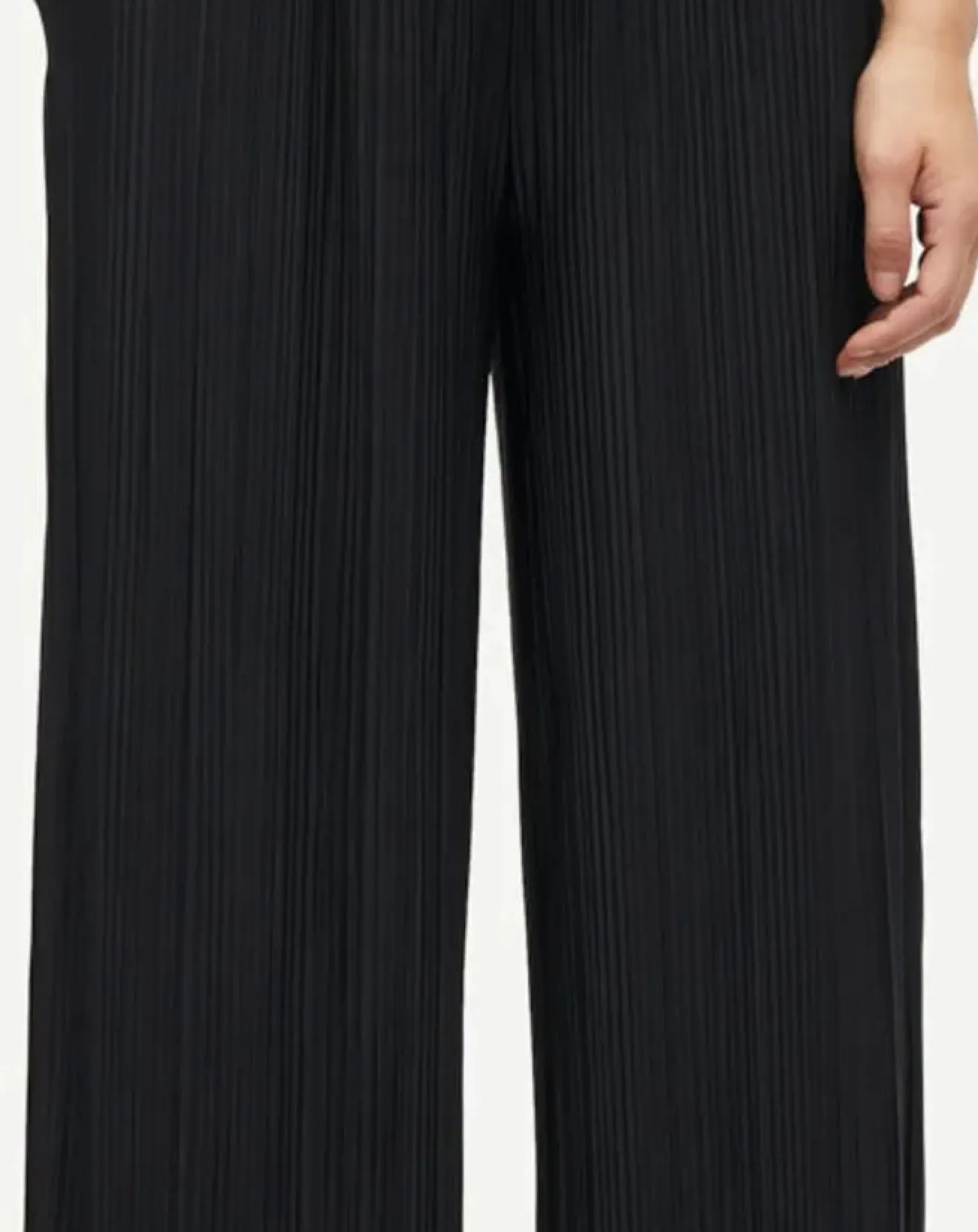 Uma pleated pants in jersey
